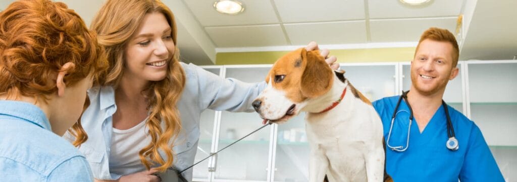 vacunación y desparasitación clinica torremolinos