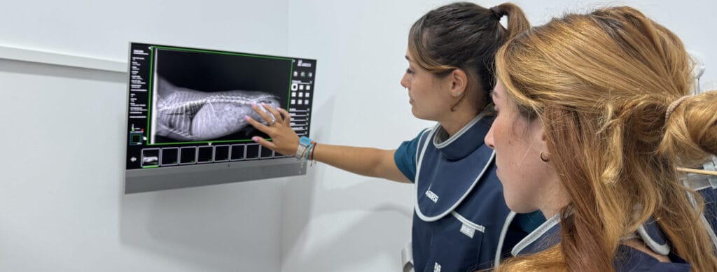 radiologia veterinario torremolinos malaga