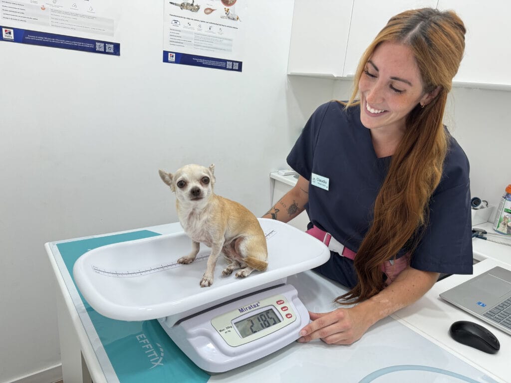 analisis clinicos veterinario malaga torremolinos