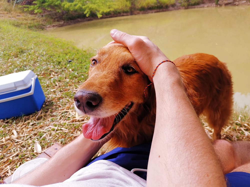 el golpe de calor es una complicacion comun en tiempos de verano
