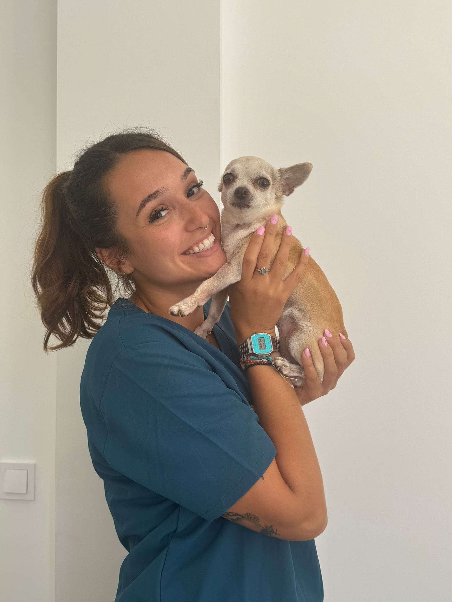 veterinario torremolinos malaga perros pequeños asesoramiento personalizado