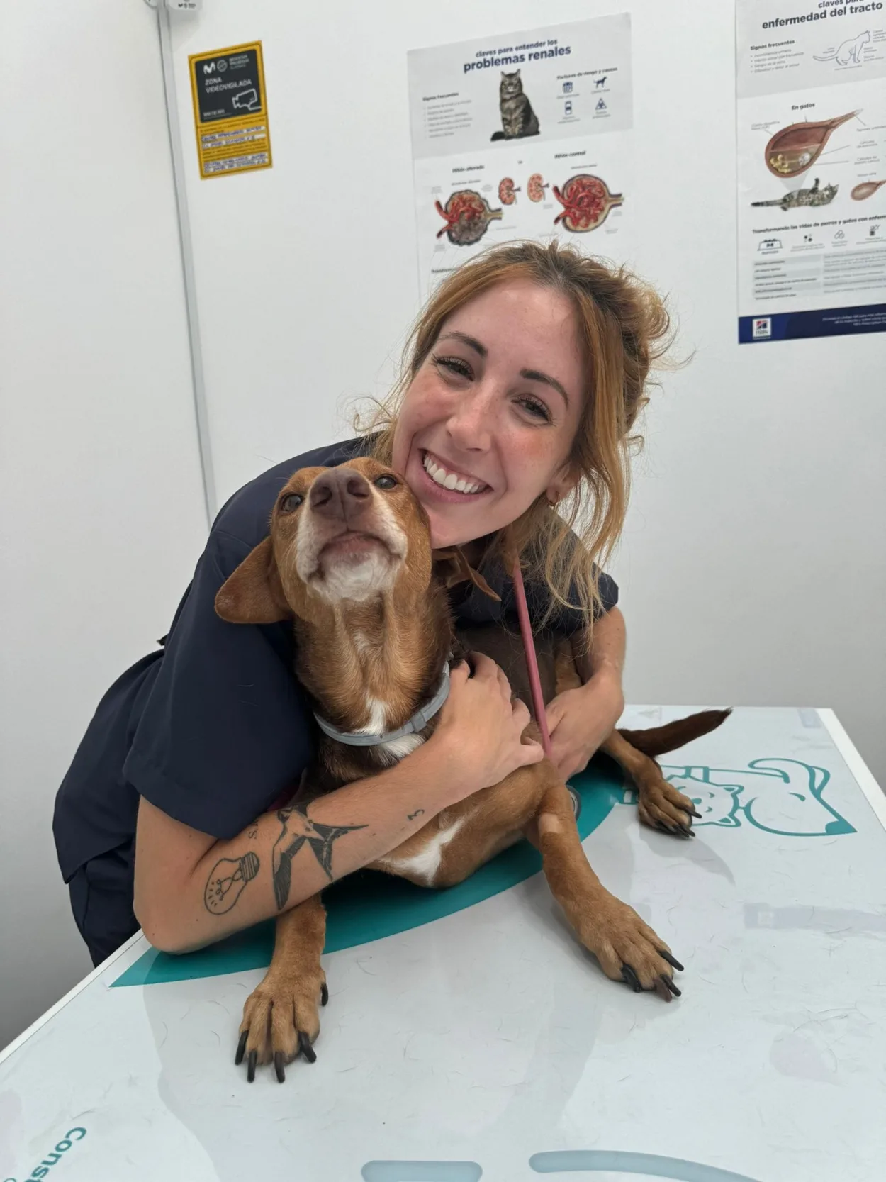 veterinaria de la clínica