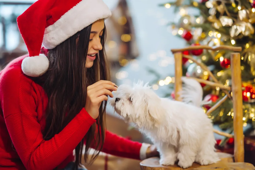 evitar el estrés navideño en tu perro