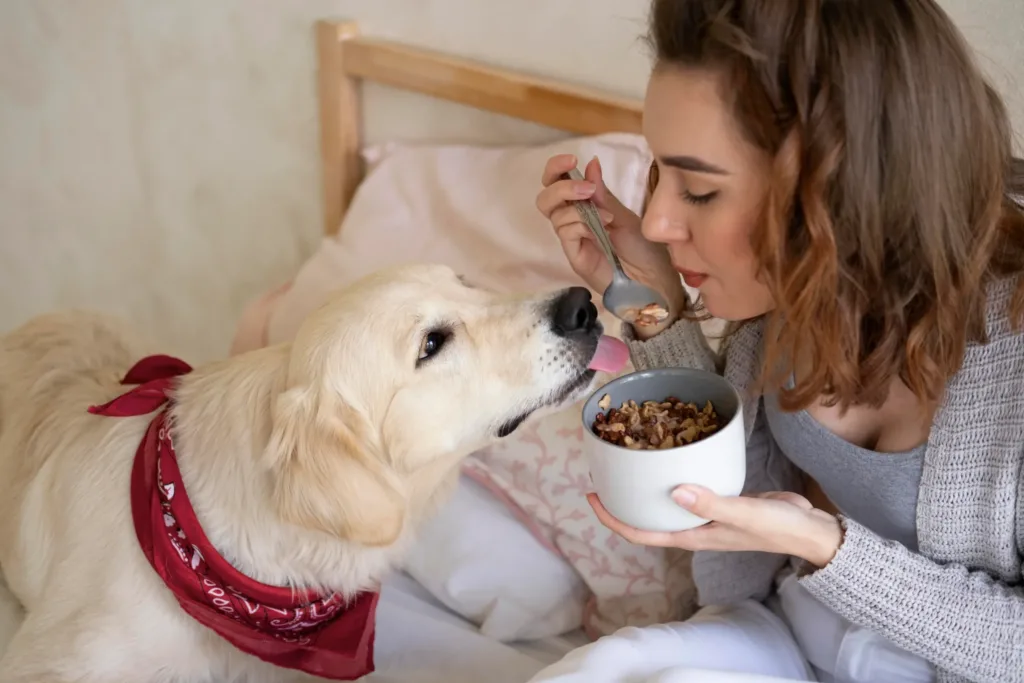 Conoce qué comen los perros y cómo elegir la mejor dieta para tu mascota. Aprende qué alimentos benefician su salud y bienestar.